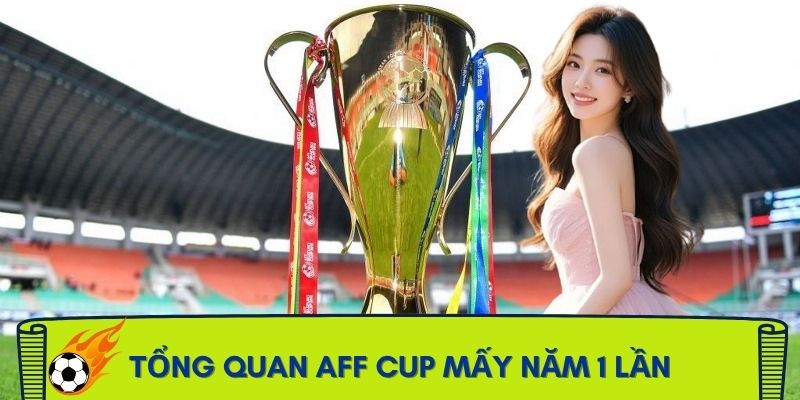 aff-cup-khai-niem