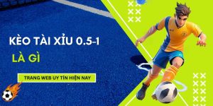 keo-tai-xiu-0-5-1-la-gi